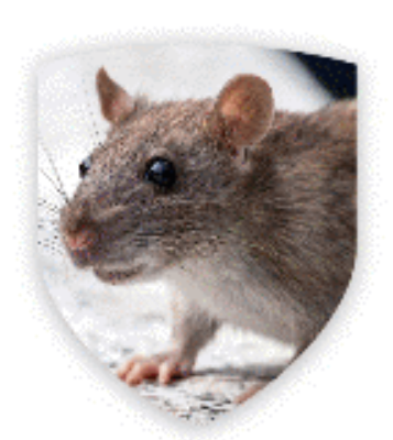 Pest Control